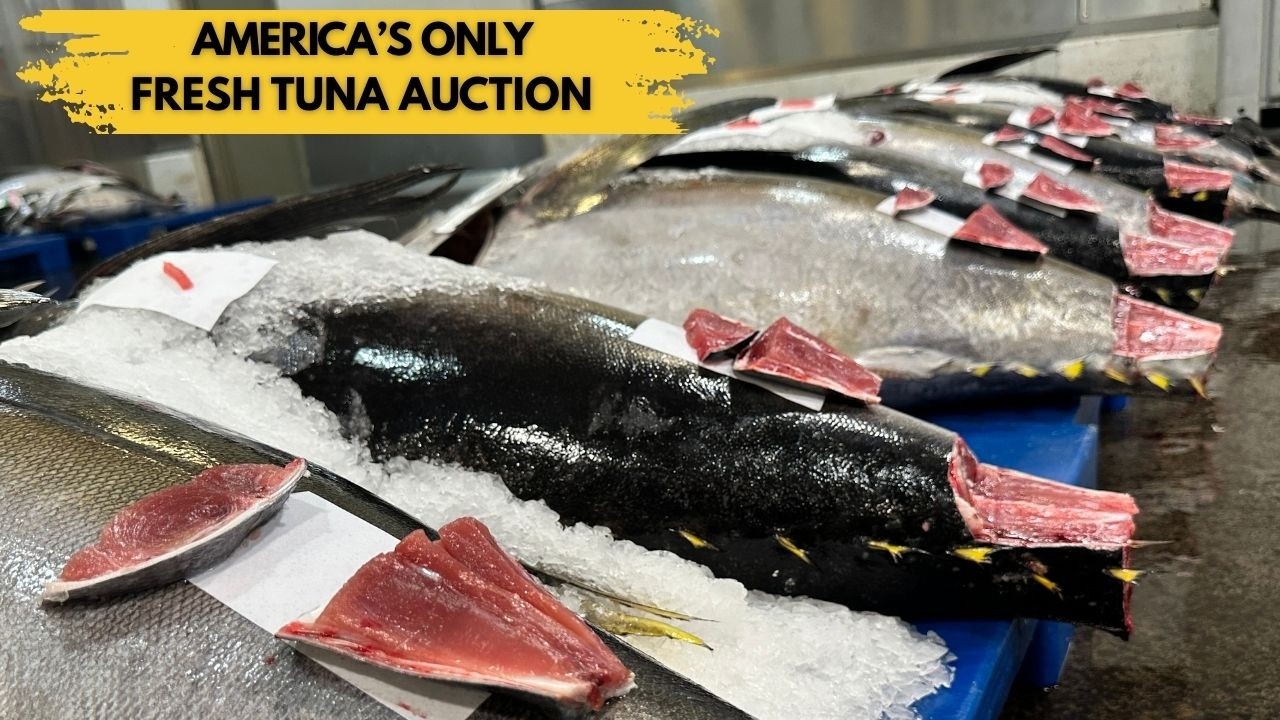 Inside America’s Only Fresh Tuna Auction + Hawaii’s Largest Whiskey Bar