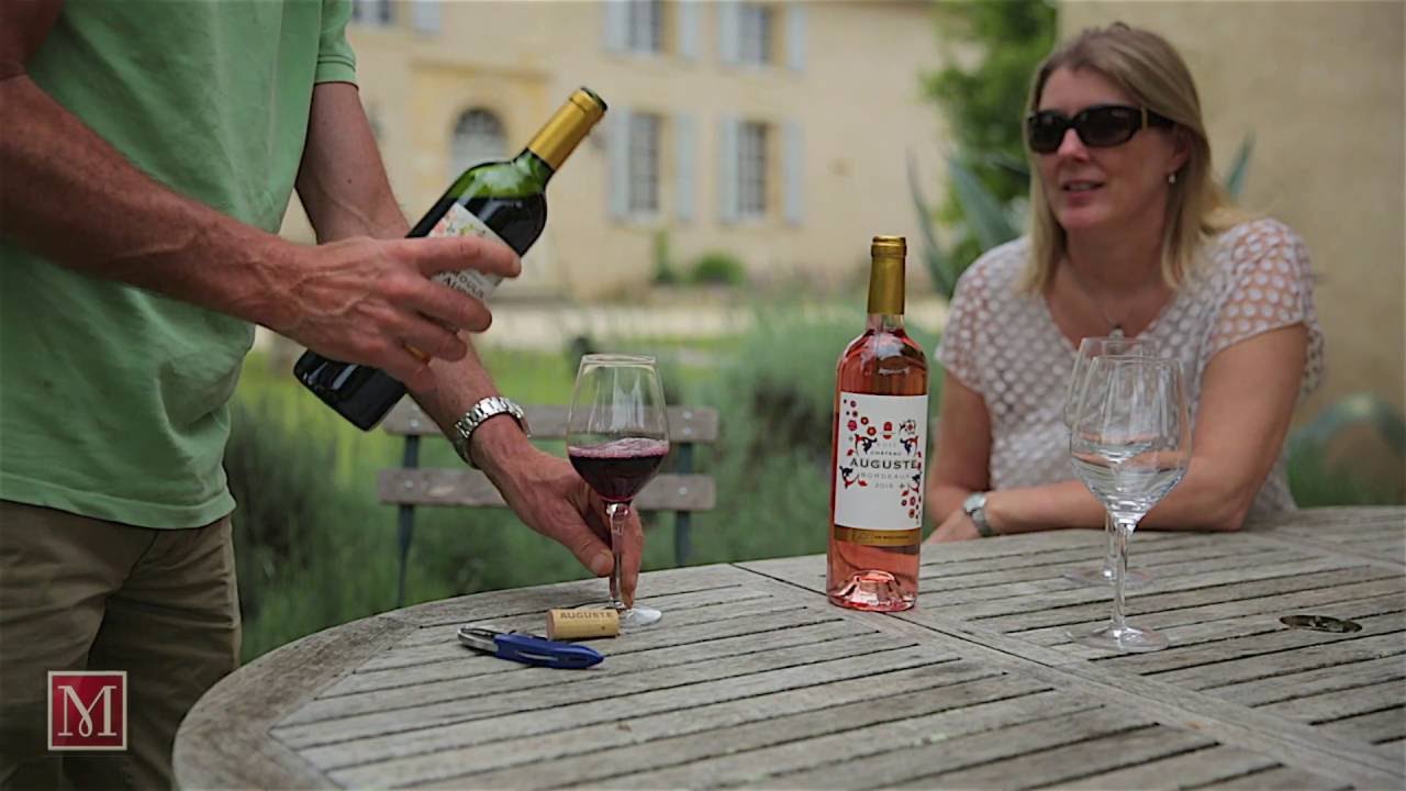 Vineyard for sale in the Saint-Emilion area, France 