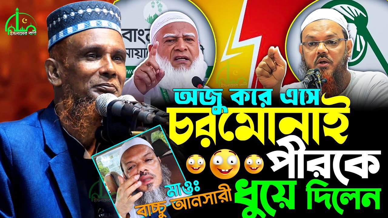জোটের ভাঙ্গন নিয়ে ভয়ংকর মুখোশ উম্মোচিত হলো চরমোনাইয়ের | বাচ্চু আনসারীর ওয়াজ | Bachchu Ansari Waz