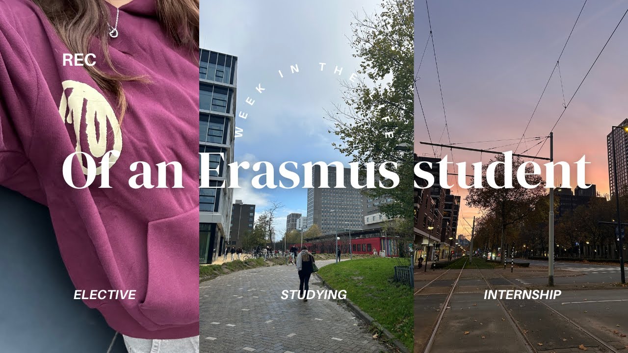 DAY IN MY LIFE as a student | Erasmus Rotterdam University: Electives, internship and exam prep