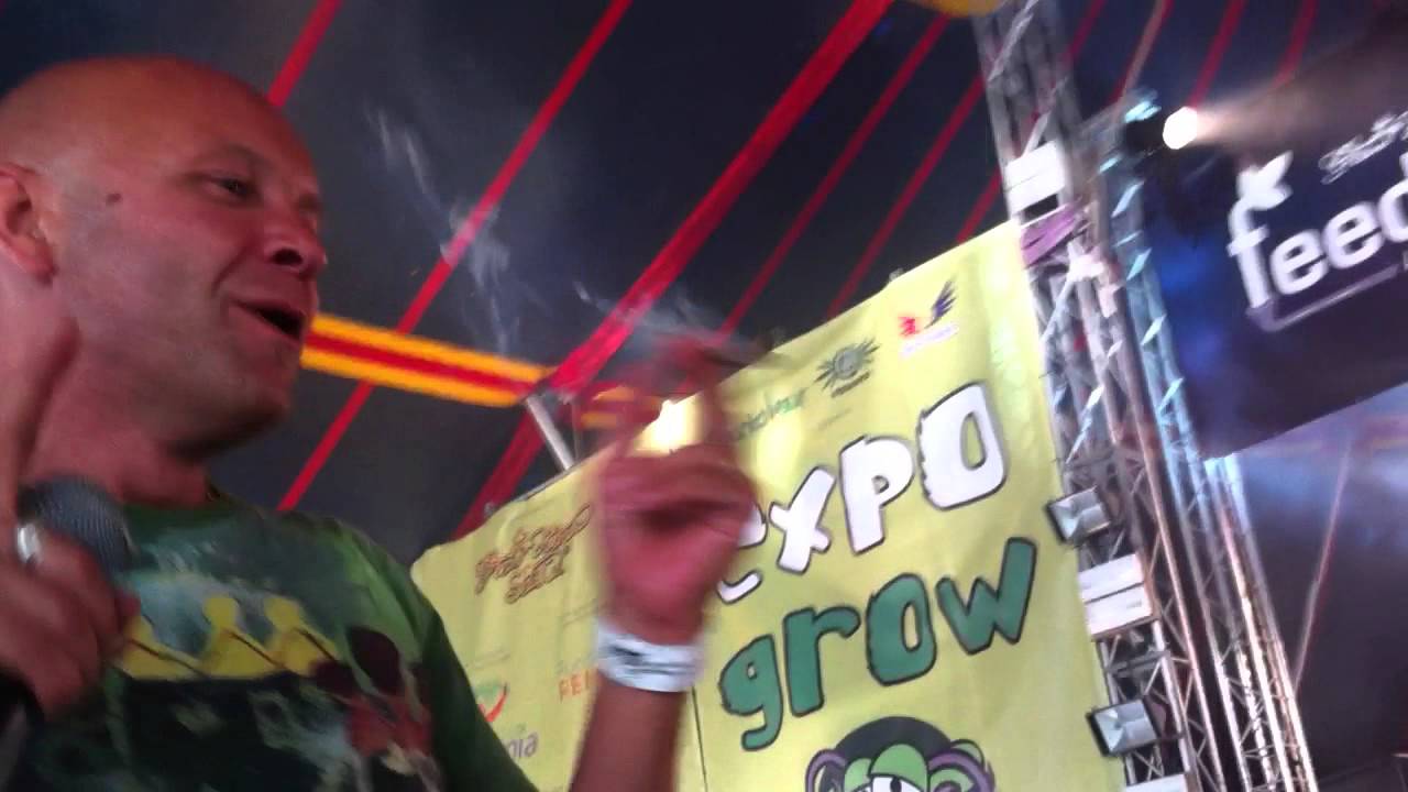 collectif 13 expogrow