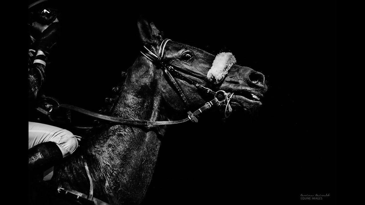 Desperado||Horse Racing Music Video||