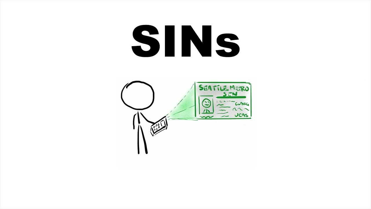 System Identification Numbers (SINs) - GM Screen - Shadowrun 5th Edition