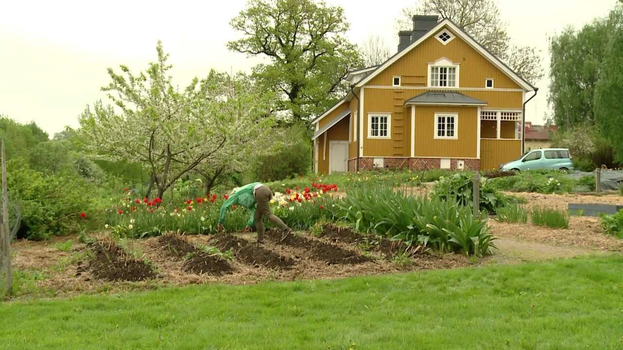 Monivuotiset vihannekst