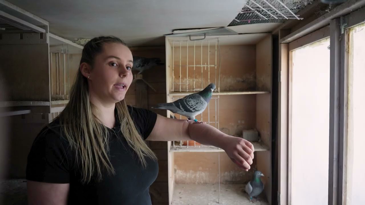 Le Pigeon Belge: Nouveau Talent Femke Riemis