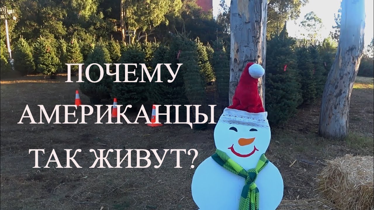 ПОЧЕМУ АМЕРИКАНЦЫ ТАК ЖИВУТ?