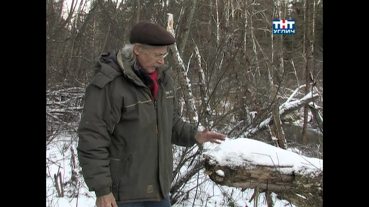 Наедине с природой. Вяз | 2011