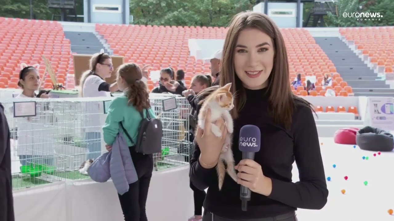 Târg de adopții de câini și pisici. Zeci de animale de companie și-au găsit o familie