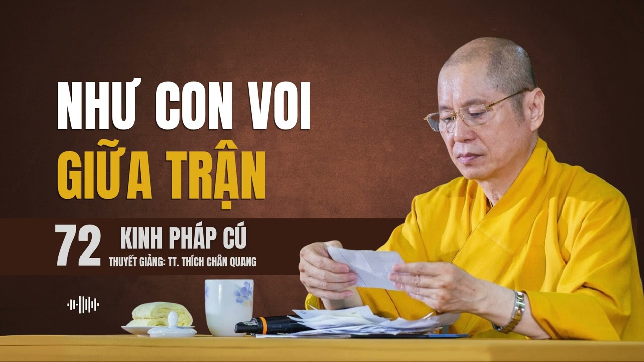 KINH PHÁP CÚ (72) - NHƯ CON VOI GIỮA TRẬN | Thuyết giảng: TT. Thích Chân Quang