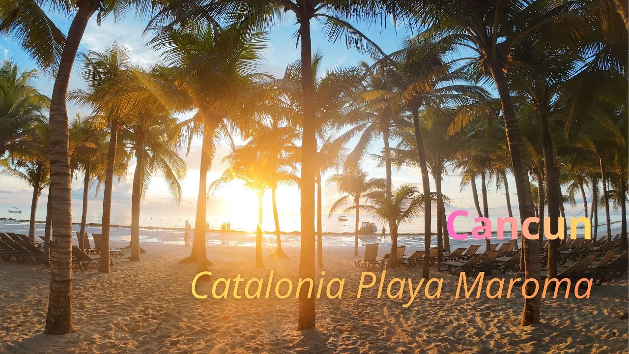 Catalonia Playa Maroma Review.