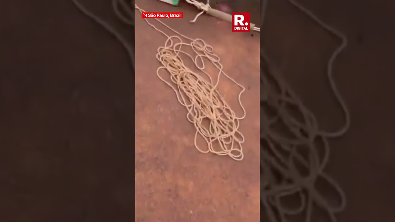 S&Atilde;O PAULO TRAGEDY: Woman Dies After Workers Forget Crucial Safety Rope