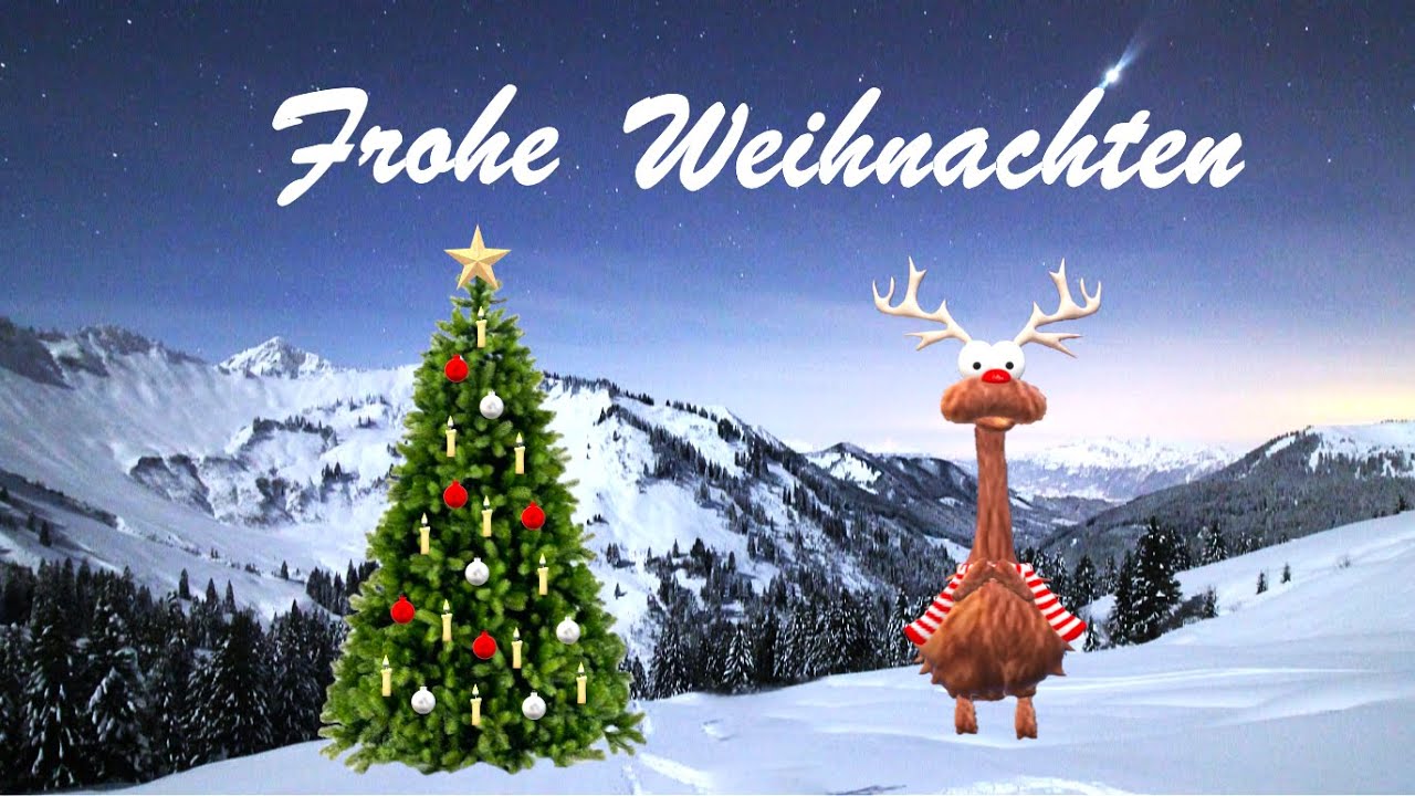 Frohe Weihnachten 🎄Lustige Weihnachtsgr&uuml;&szlig;e vom Rentier 🫎