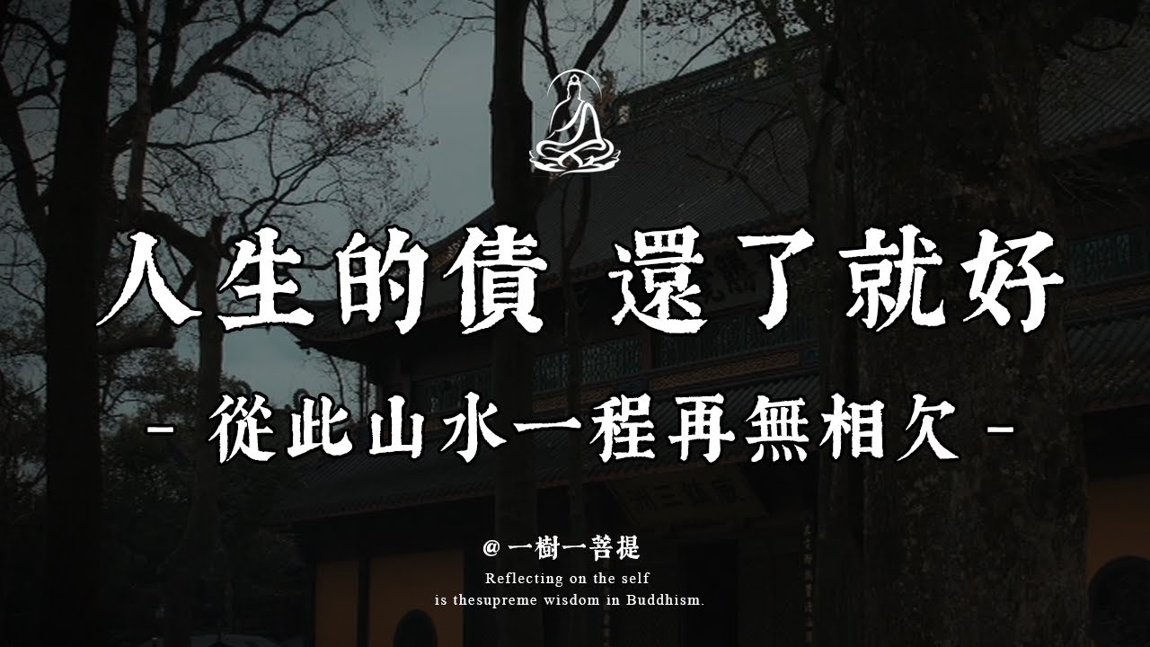 所有相遇皆是因緣欠還，痛苦源於執念與拒償，真正的還清是內心無波瀾的釋然，還債終是自我救贖，放下過往、向內圓滿，方能山水不相欠、餘生皆坦途。|一樹一菩提 #覺醒 #禪悟人生 #人生感悟 #情感 #佛法