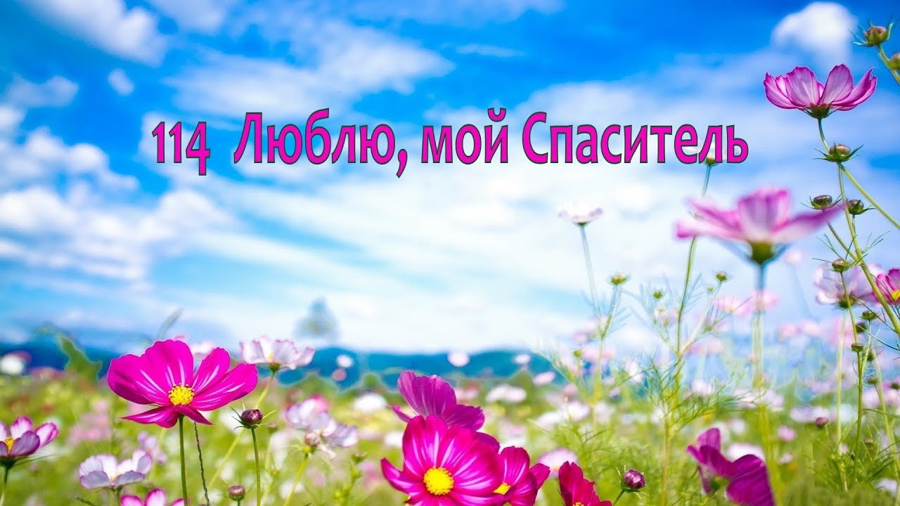 114 Люблю, мой Спаситель