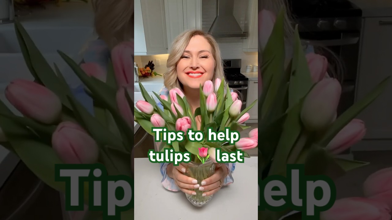 Tips to help your tulips last longer #spring