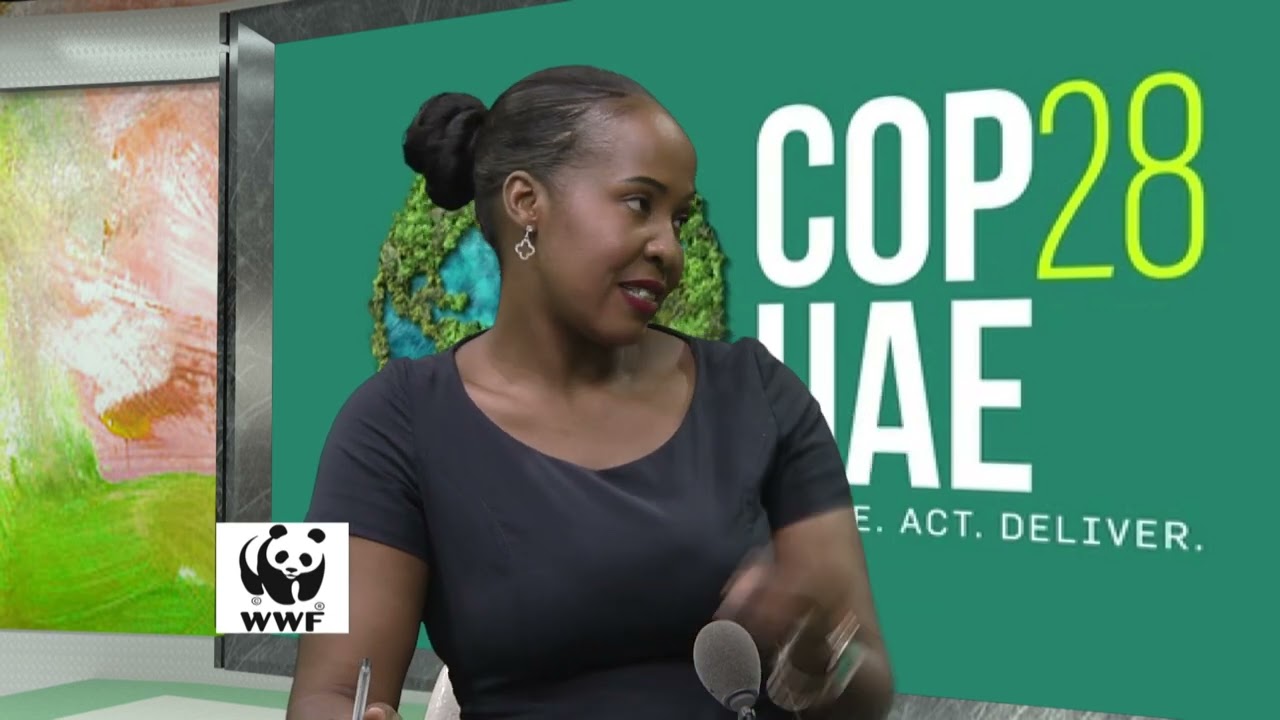 Youth Engagement at COP28: Insights from Dilwe Syaamuntu | Voices for Climate Action