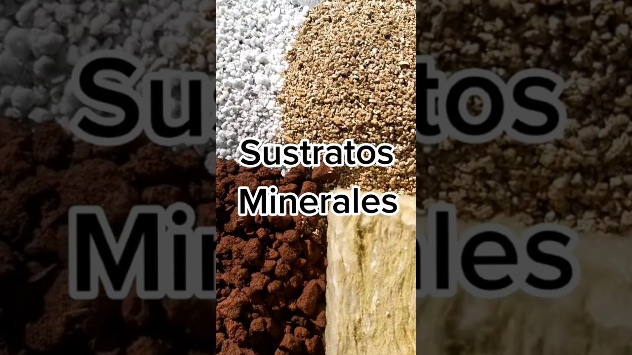 Sustratos Minerales