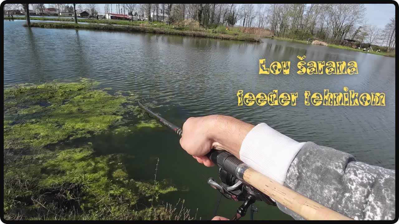 Feeder ribolov šarana i otvorenje dubokog bajera kojim gospodari UŠR Lonja!!