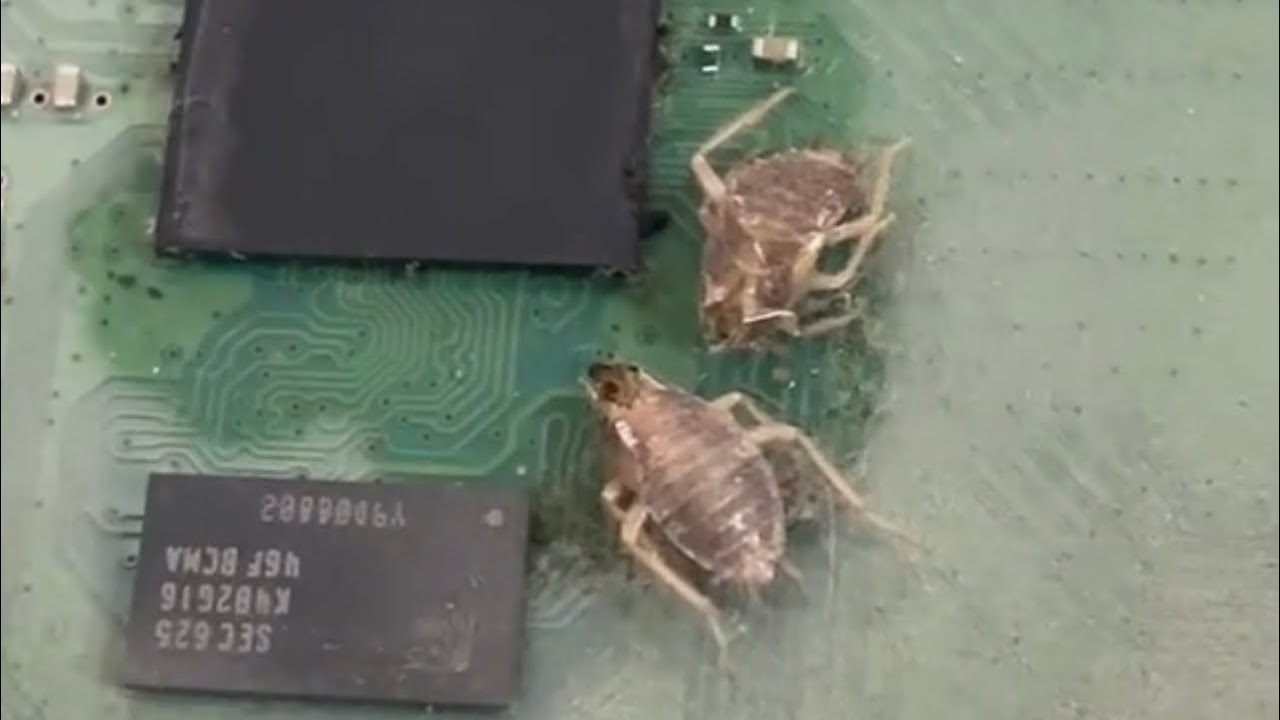 Limpiando esta PS4 con cucarachas y mucho polvo #crazystation