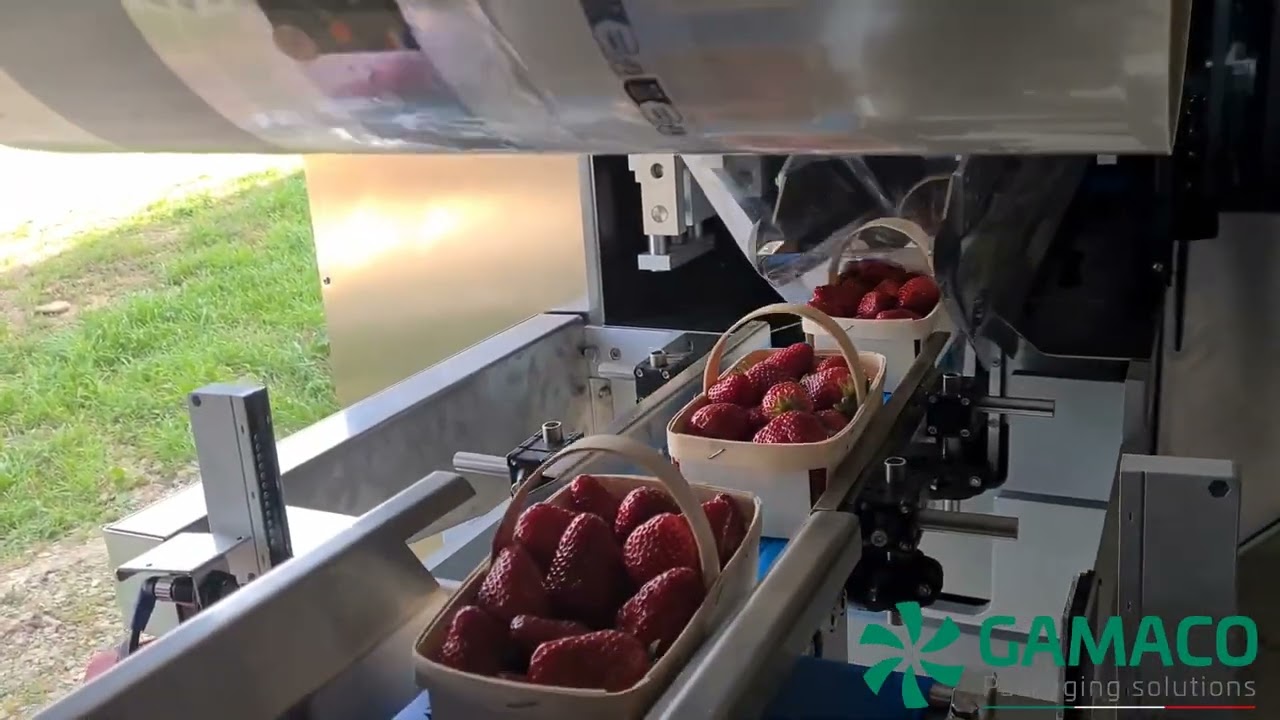 GAMACO - flowpack machine PHANTOM HYBRID BML  - basket with handle for strawberries