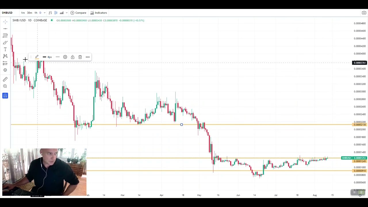 SHIB - Shiba Inu Coin Price Prediction 2022 - SHIBUSD