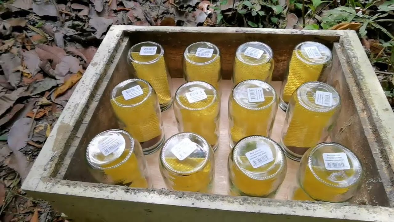 Procedimiento para obtener miel y panal en frascos #costarica #beehive #beekeeping #bees #apicultura