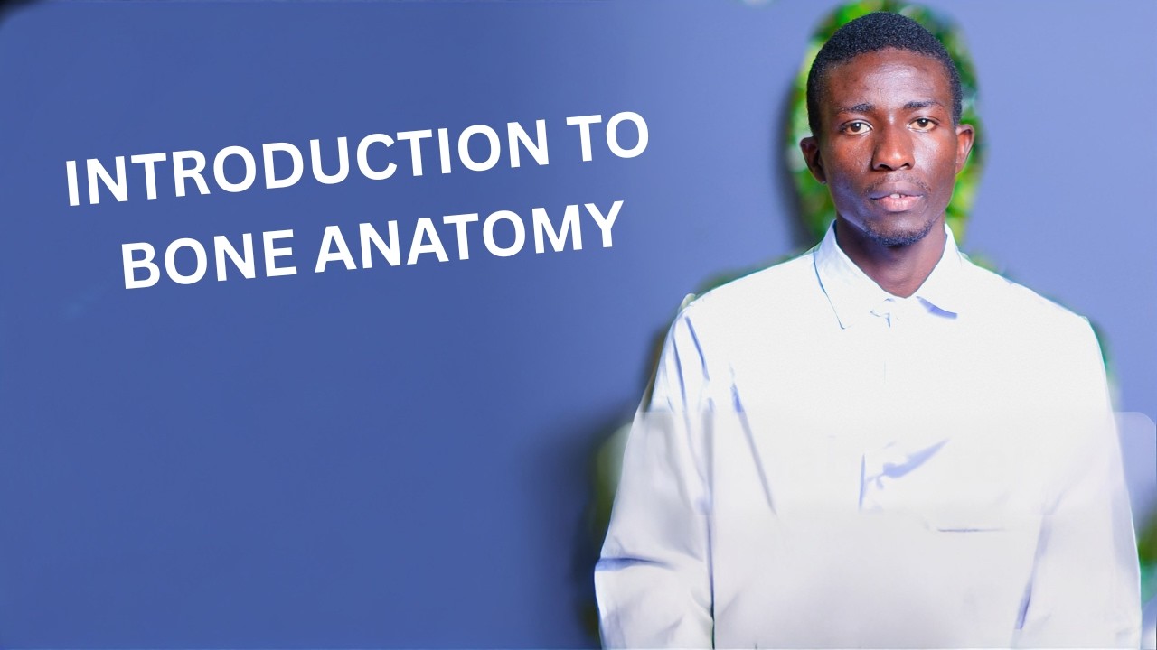 Bone Anatomy 101: Beginner's Guide to the Human Skeleton (Must-Know Basics!)
