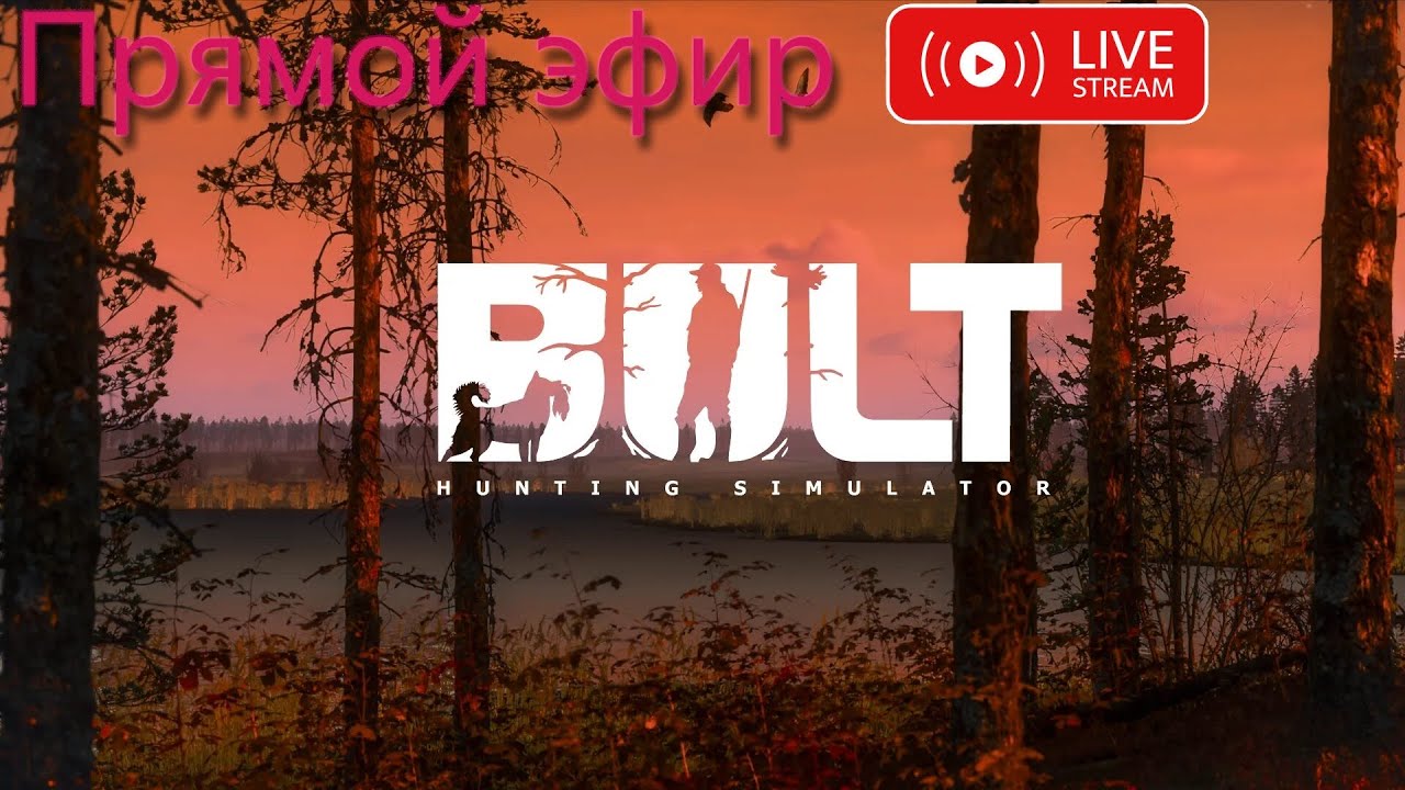 Охота на стриме BULT  #bulthuntingsimulator