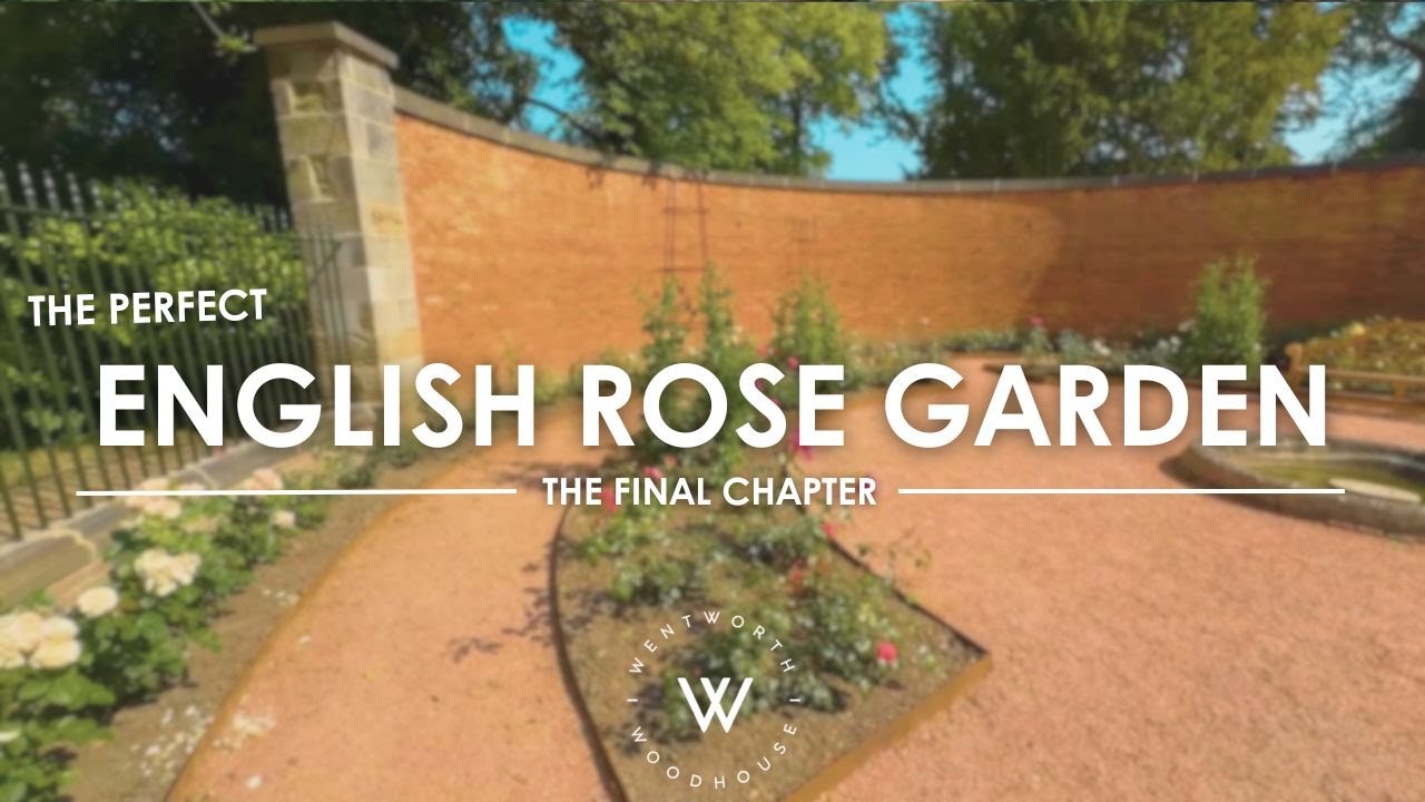 The Perfect English Rose Garden: The Final Chapter | #wentworthwoodhouse |