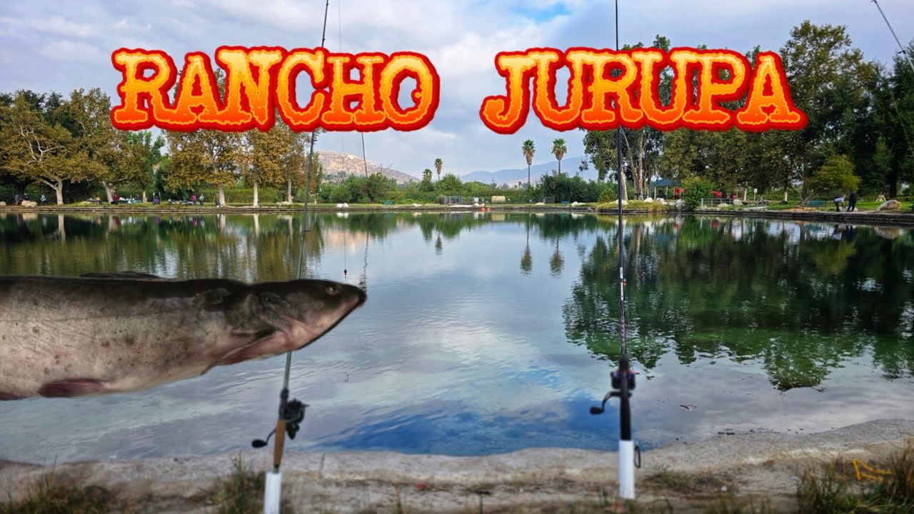 Final Catfish stock of the season @ Rancho Jurupa! Pesca de Vagre!