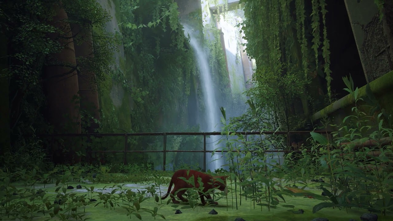 Relaxing Nature Ambience by a Waterfall with 😸 | Study & Sleep Sounds 🎶