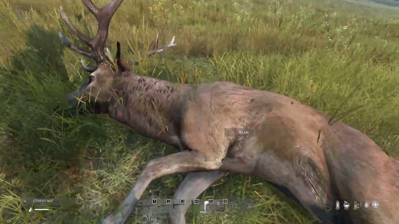 DayZ Bratrovražda