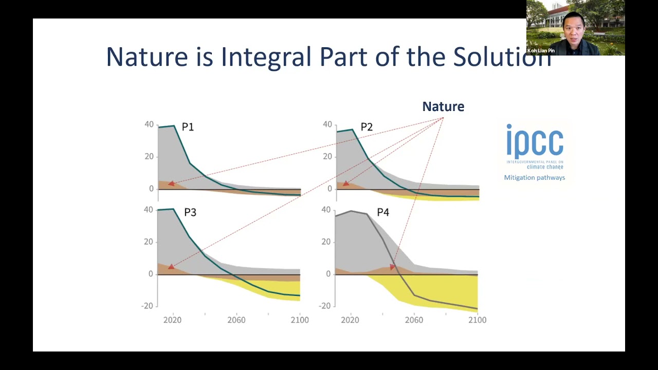 How science helps inform sustainable policies and decisions in climate and biodiversity