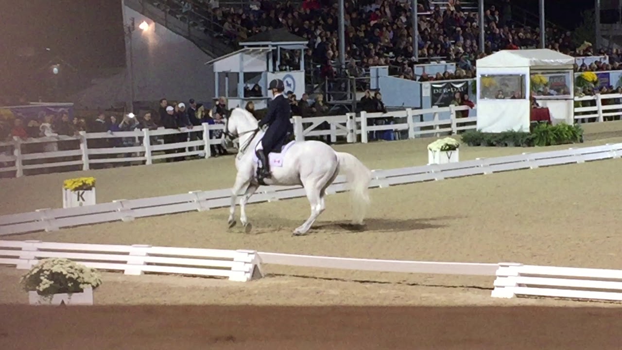 Jacquie Brooks and D Niro Freestyle Dressage at Devon