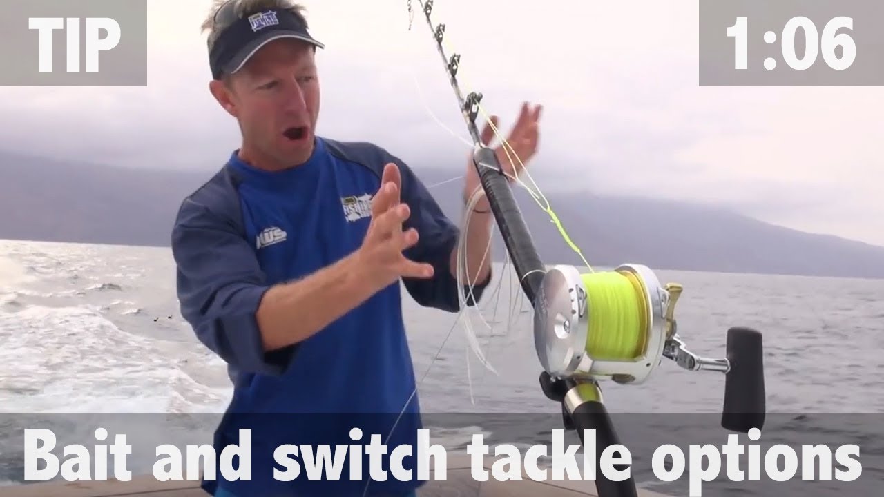BAIT AND SWITCH TACKLE OPTIONS