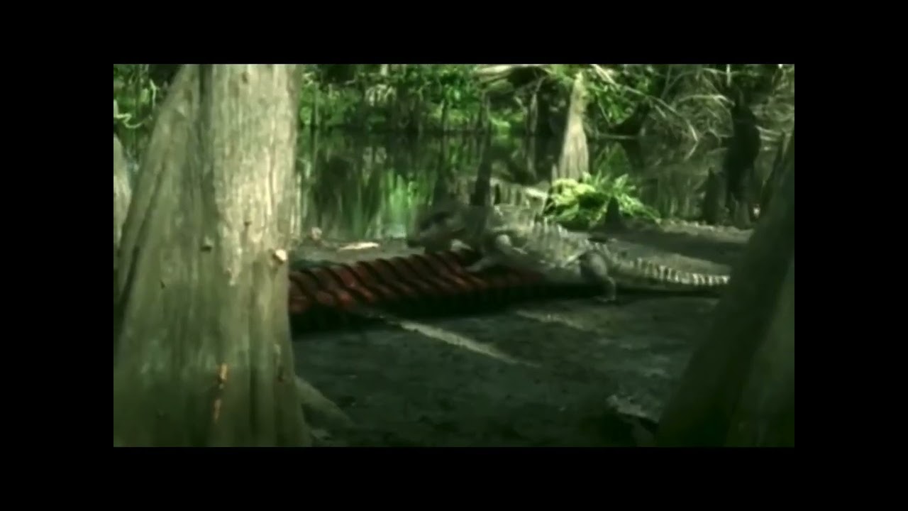 Big Reverberant Screechy Monstrous Roar Stock Sound effects