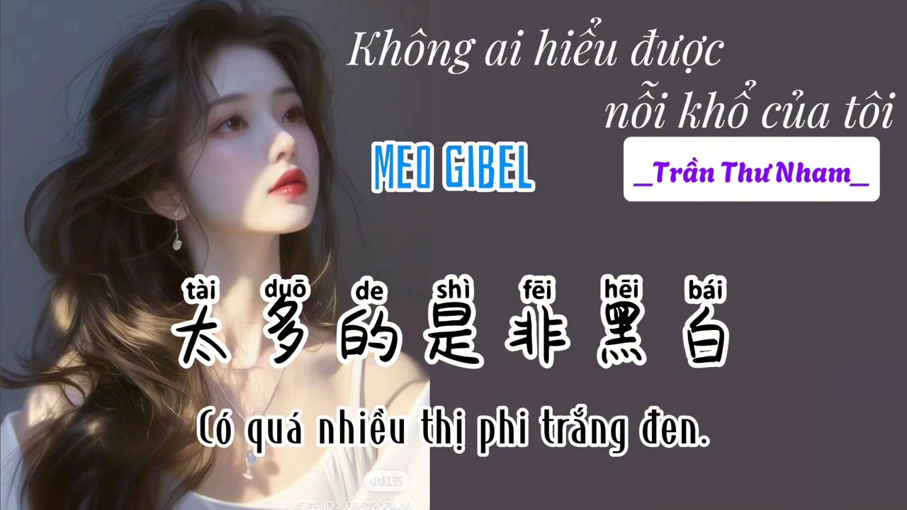 [Vietsub+Pinyin] Không ai hiểu được nổi khổ của tôi. Trần Thư Nham. 没人懂我的苦·陈舒岩