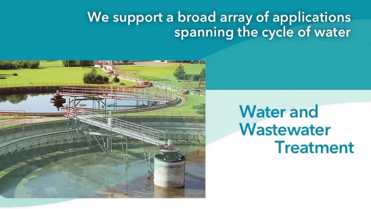 What does Xylem do?