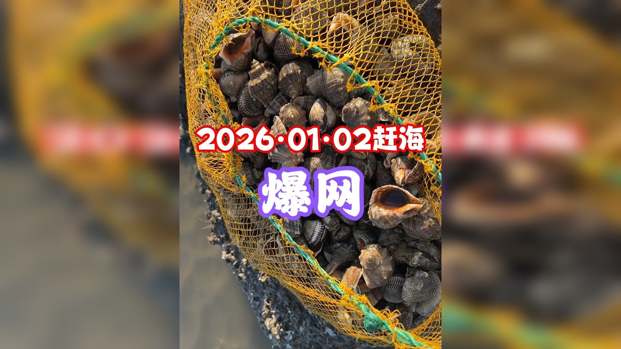 记录生活：冬季赶海运动场景