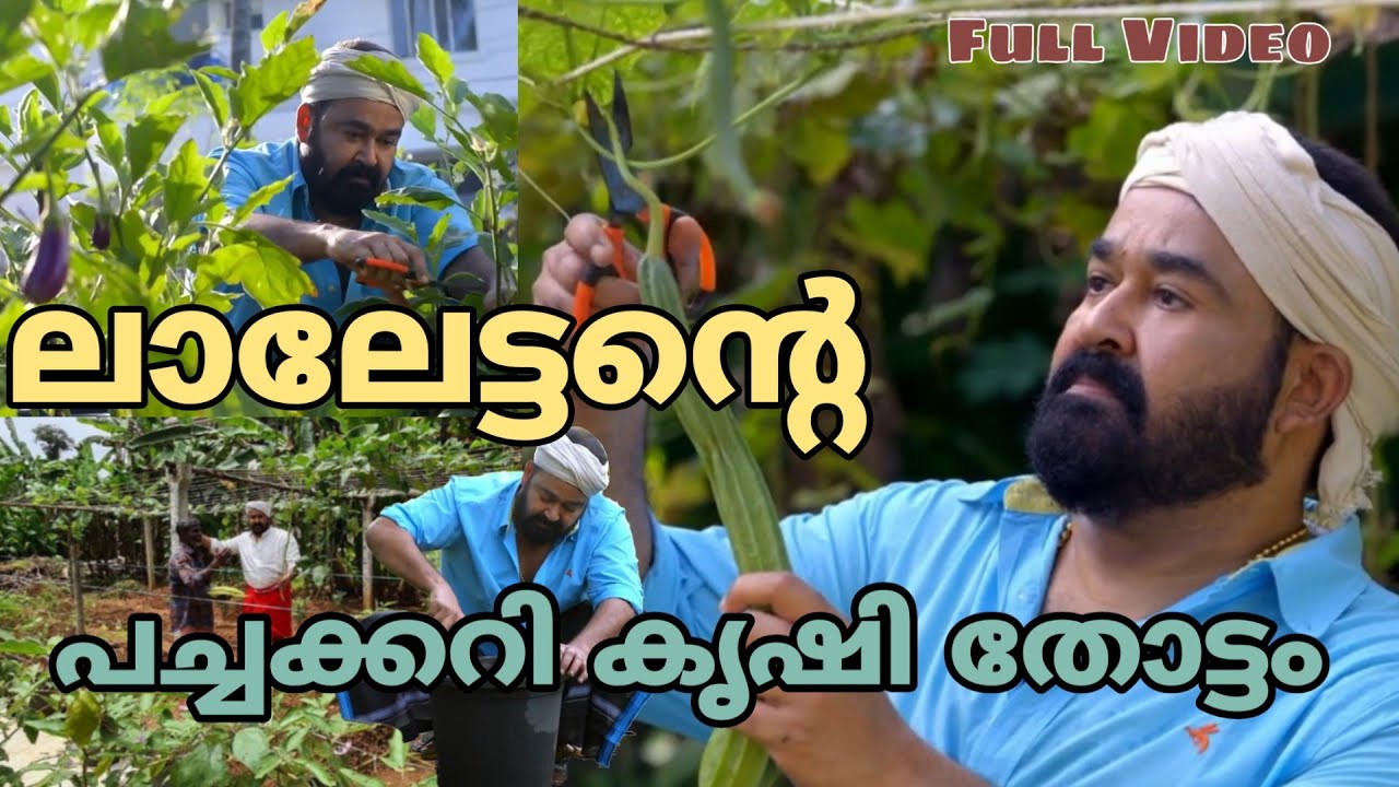 Mohanlal Organic farm Full video | Mohanlal | Vegetable Garden | Barroz