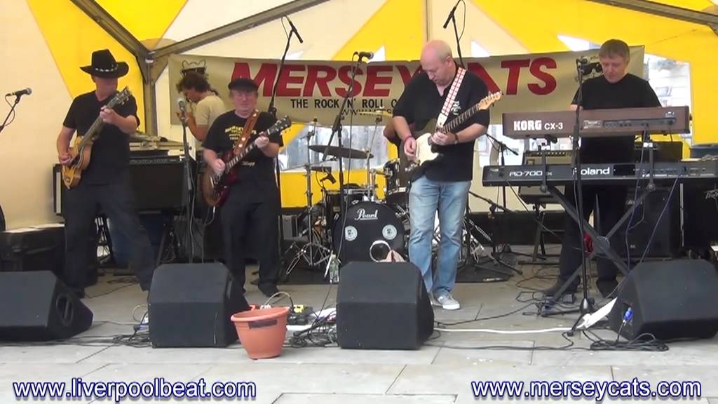 Merseycats at The St Helens 