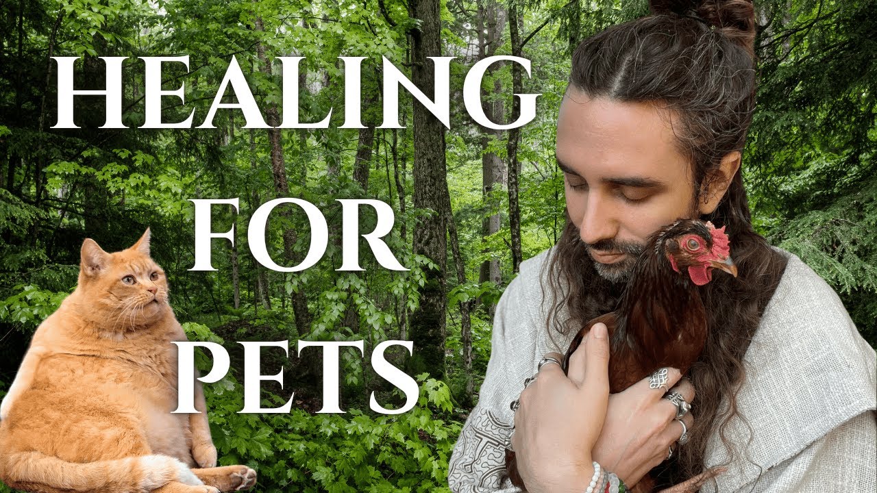 Reiki for Animals 🐾 ASMR Healing Energy to Calm, Comfort & Rebalance Your Pet