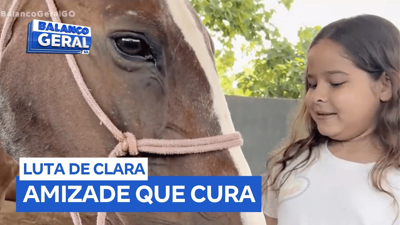 Cavalo doado ajuda criança a vencer o câncer