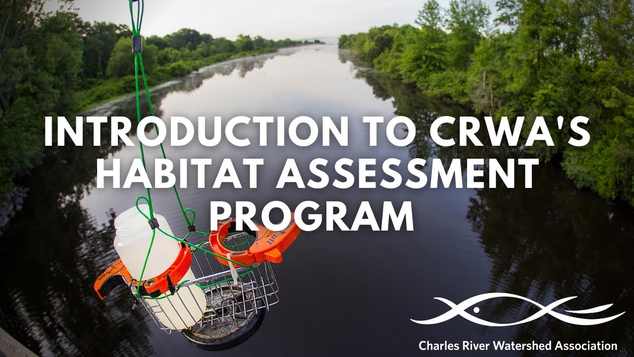 Introduction to Charles River Watershed Association's Habitat Assessment Program