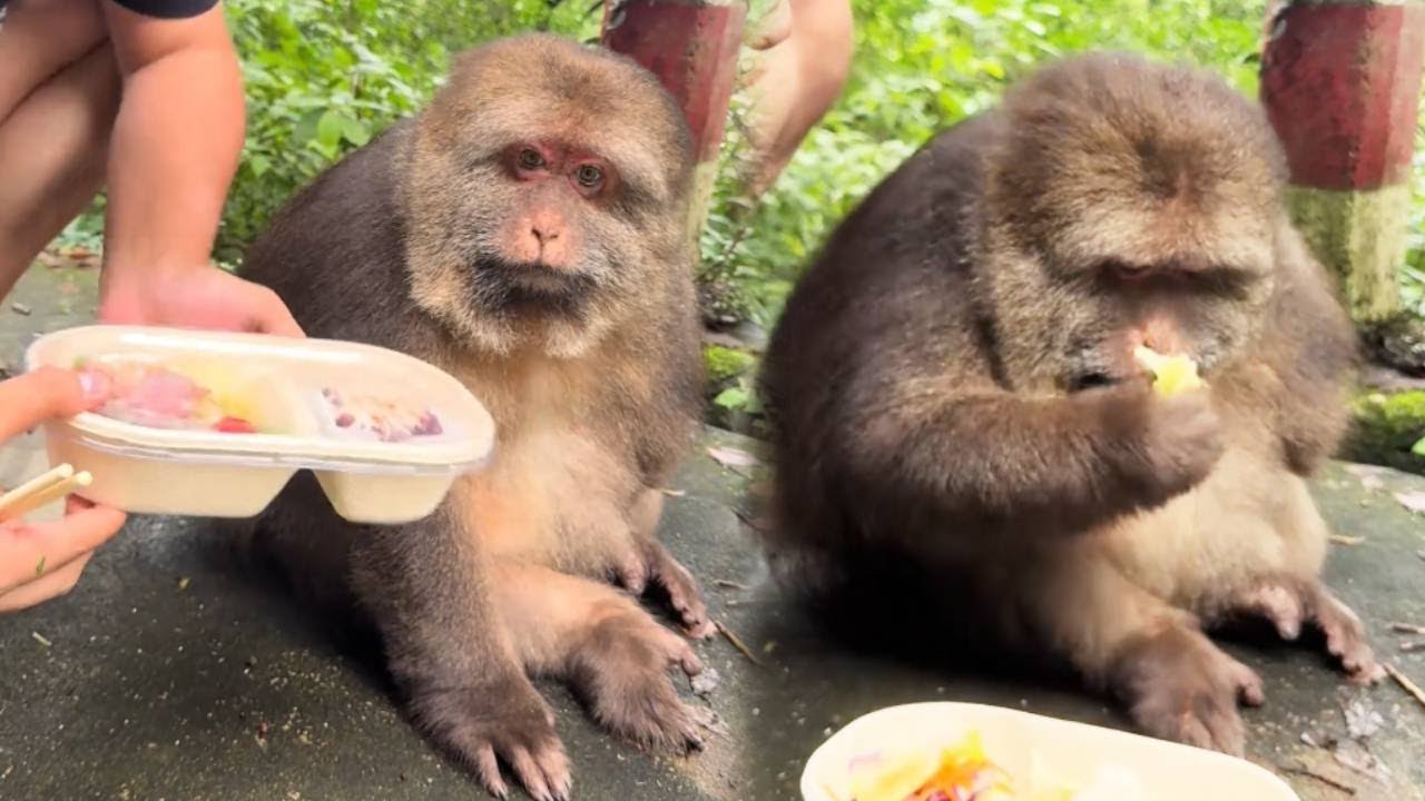 Xingxing: I Will Only Eat Something You Have Never Seen Before.