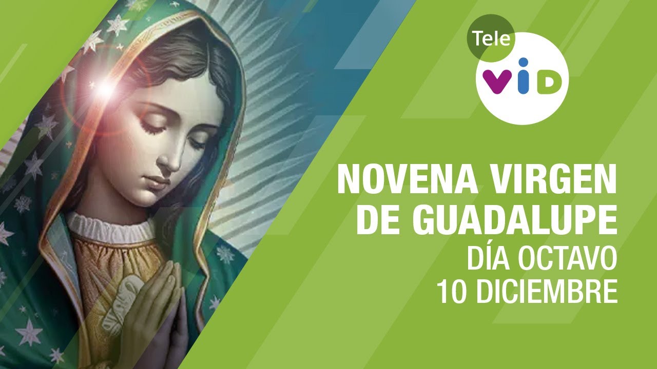 Novena a la Virgen de Guadalupe Día 8 📿🙏 10 Diciembre #TeleVID #VirgenDeGuadalupe