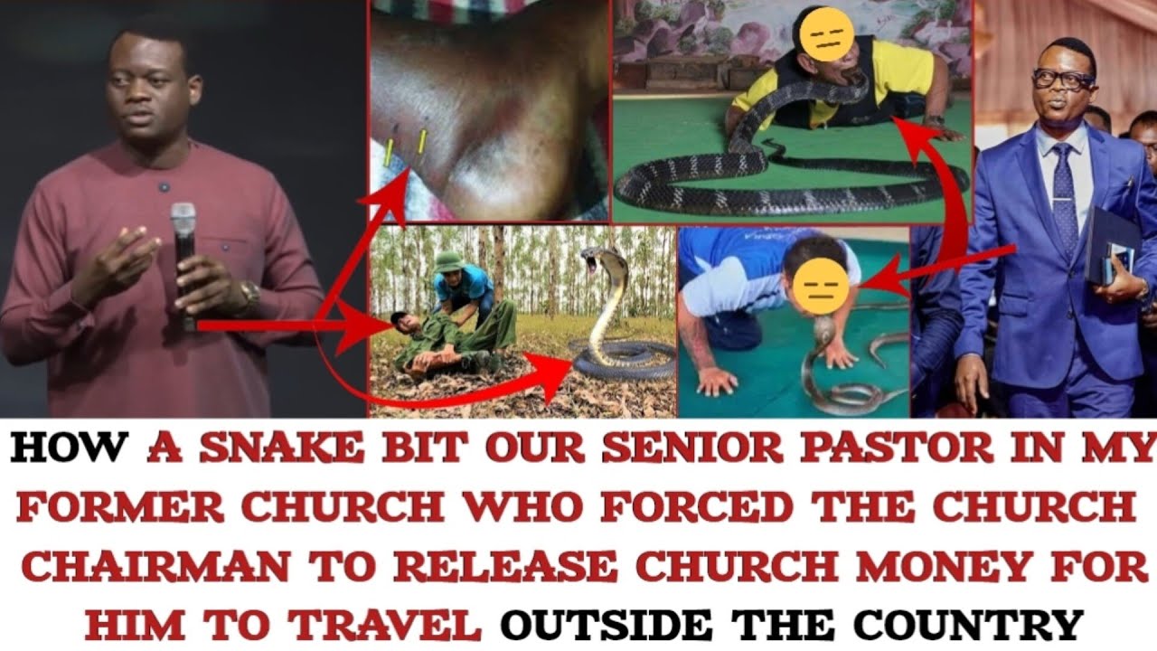 HOW A SNAKE BIT OUR PASTOR WHO FORCED THE CHAIRMAN TO RELEASE CHURCH MONEY FOR HIM TO TRAVEL -AROME