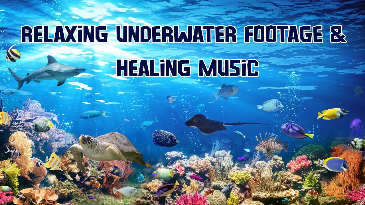 Underwater Footage + Healing Music / Nature Relaxation / Ocean Video