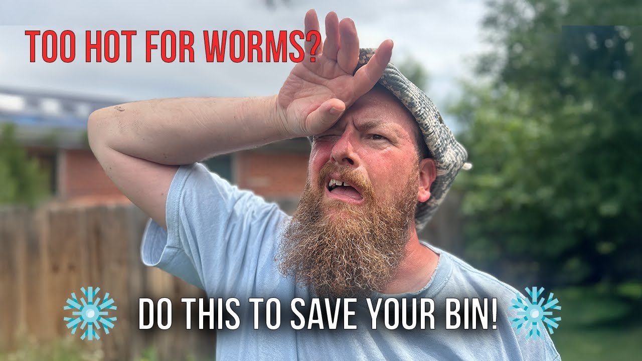 5 Genius Ways to Keep Worms Cool in Summer!