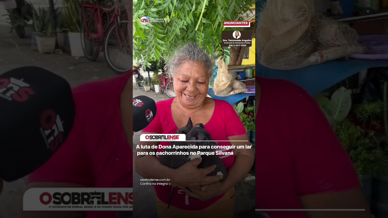 A luta de Dona Aparecida para conseguir um lar para os cachorrinhos no Parque Silvana.